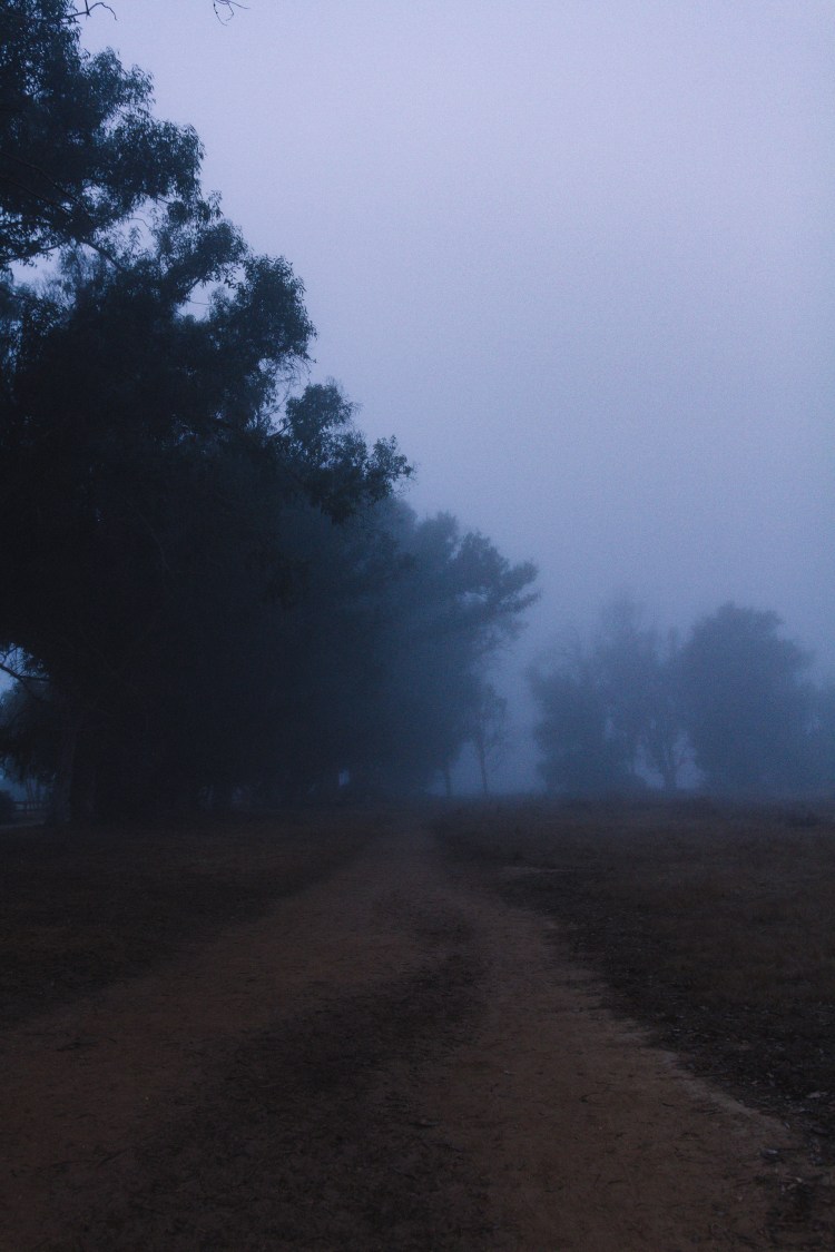 October 27th (21 of 44)