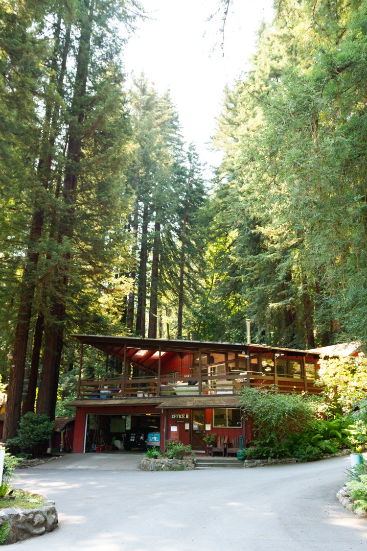 santa cruz (8 of 13)