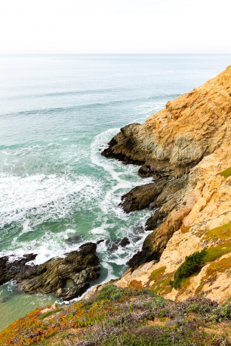 san fran batch 1 (6 of 42)