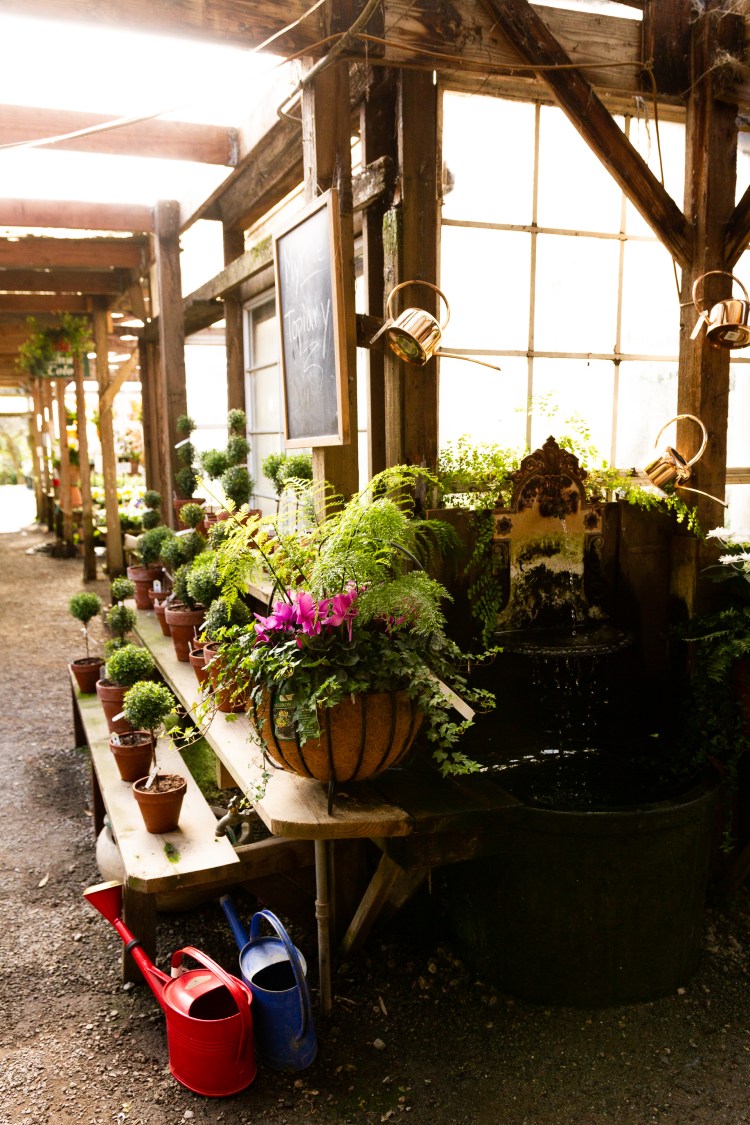 San Francisco day 2 (37 of 63)