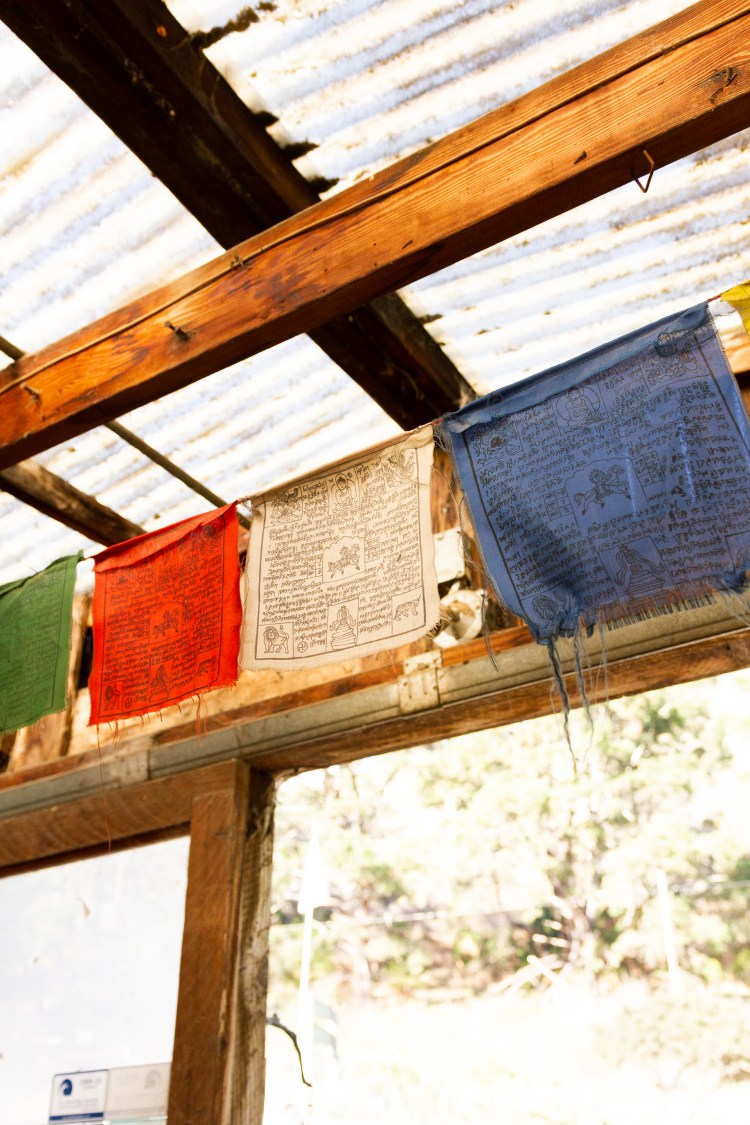 San Francisco day 2 (38 of 63)