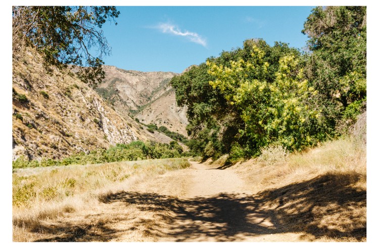 Red Rock, Santa Barbara (1 of 146)