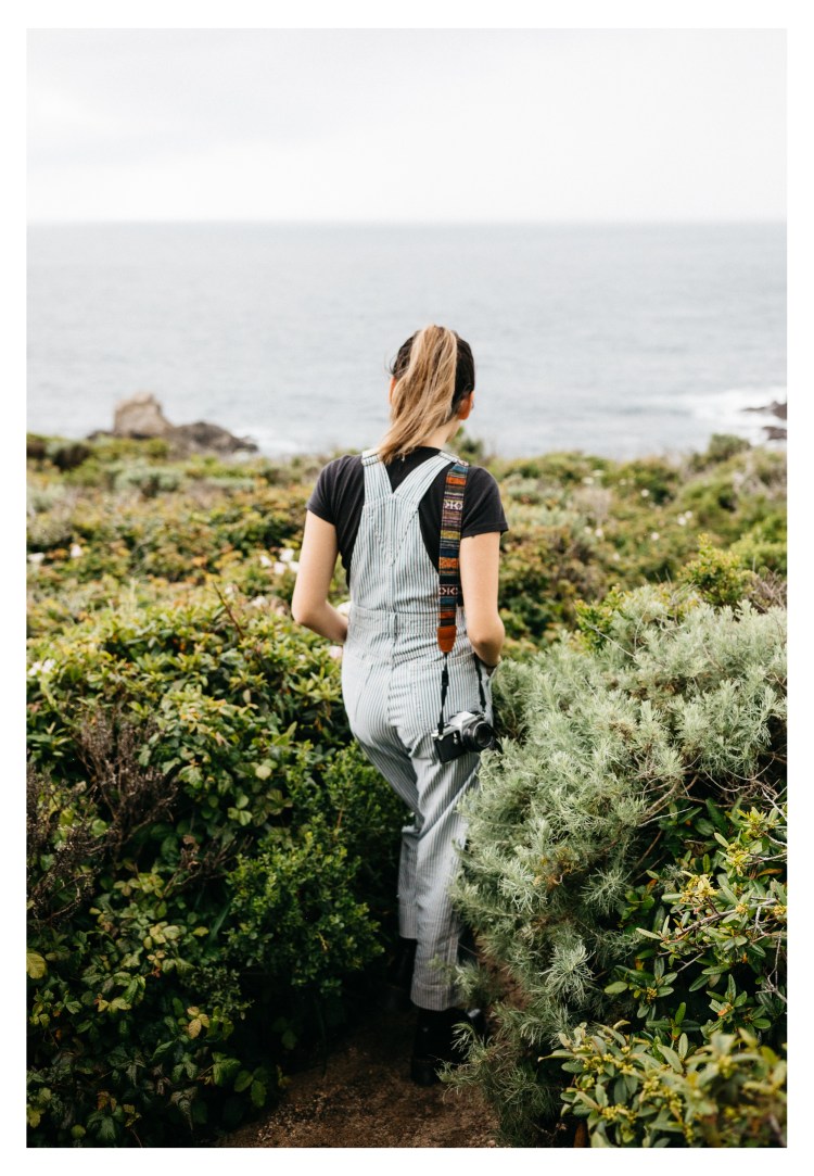 big sur kodak 2 tone (112 of 306)