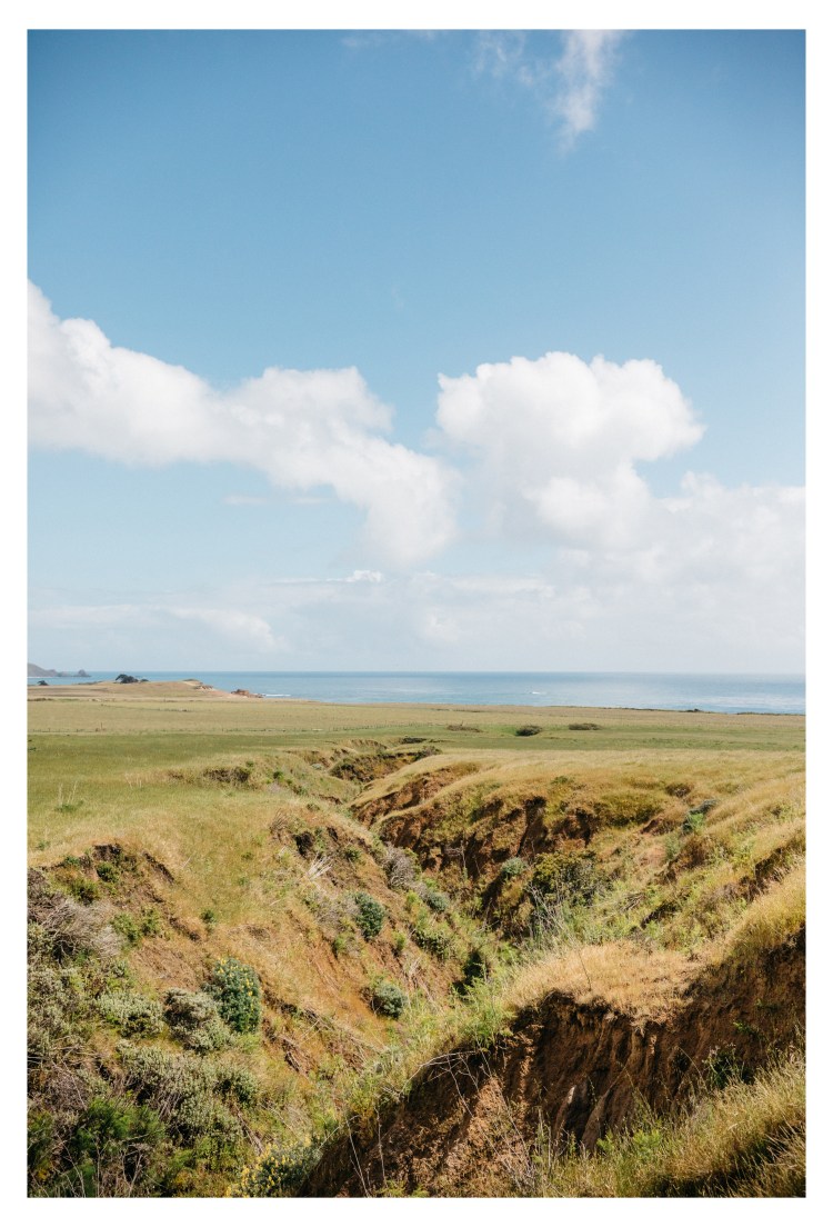 big sur kodak 2 tone (167 of 306)