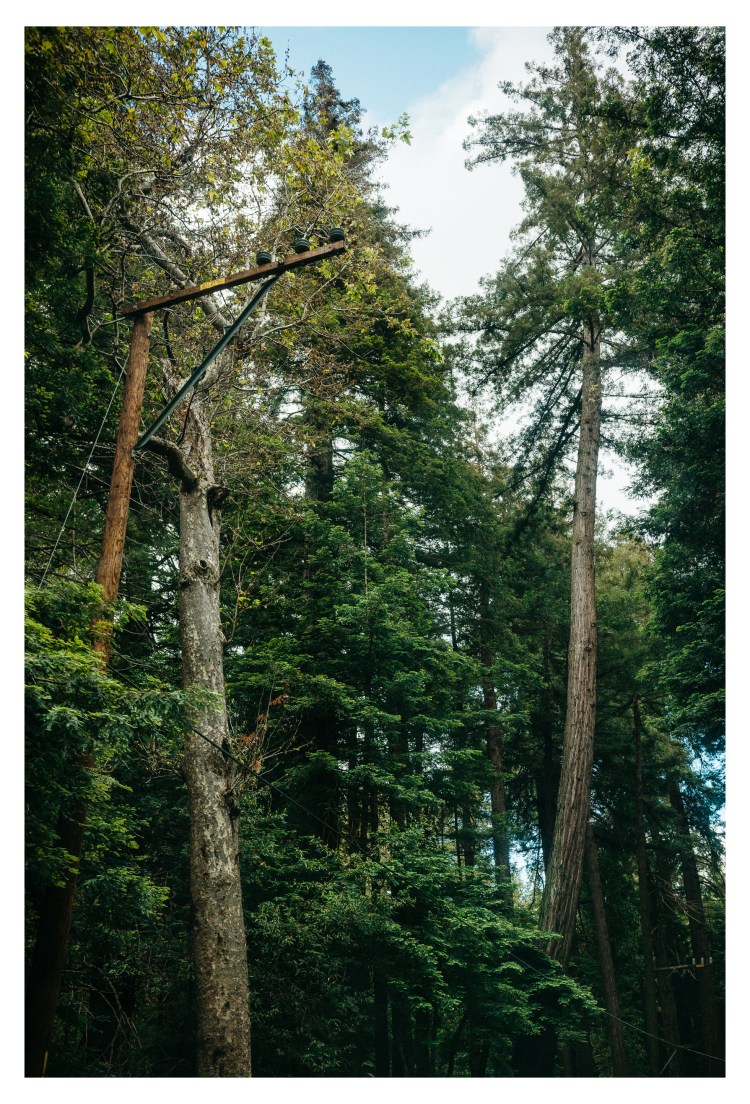 big sur kodak 2 tone (174 of 306)