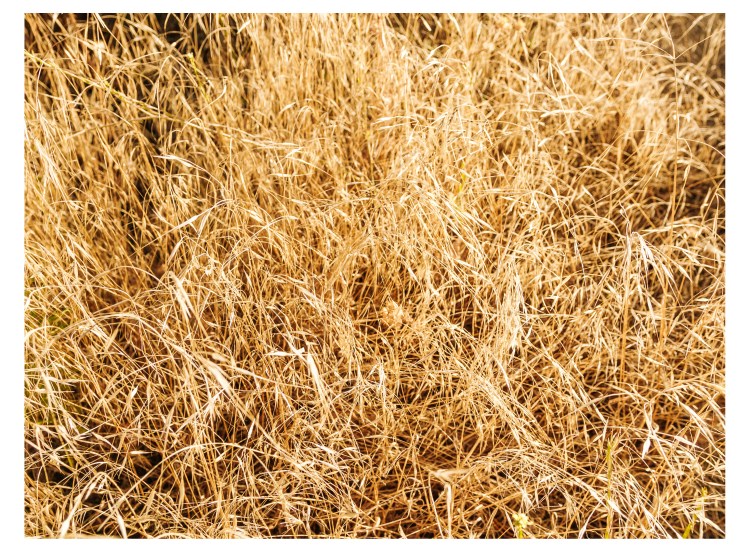 Red Rock, Santa Barbara (107 of 146)