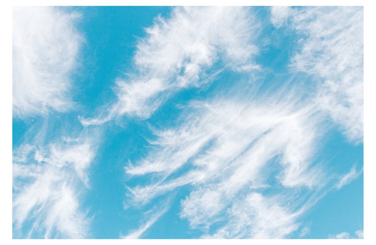 Red Rock, Santa Barbara (31 of 146)