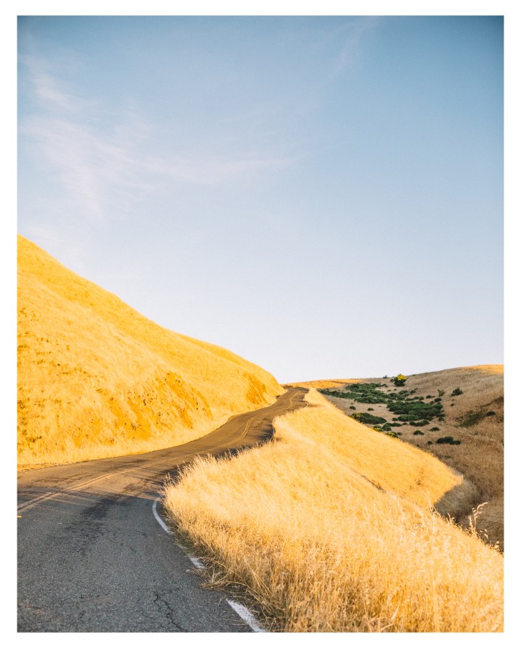 Sf day 2 (67 of 169)k