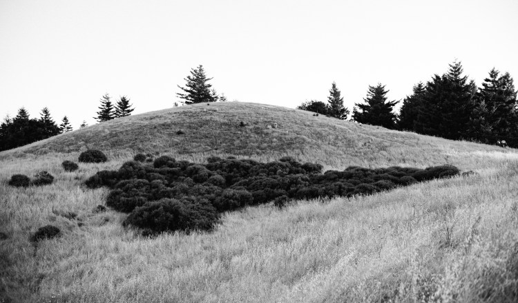 Sf day 2 (94 of 169)